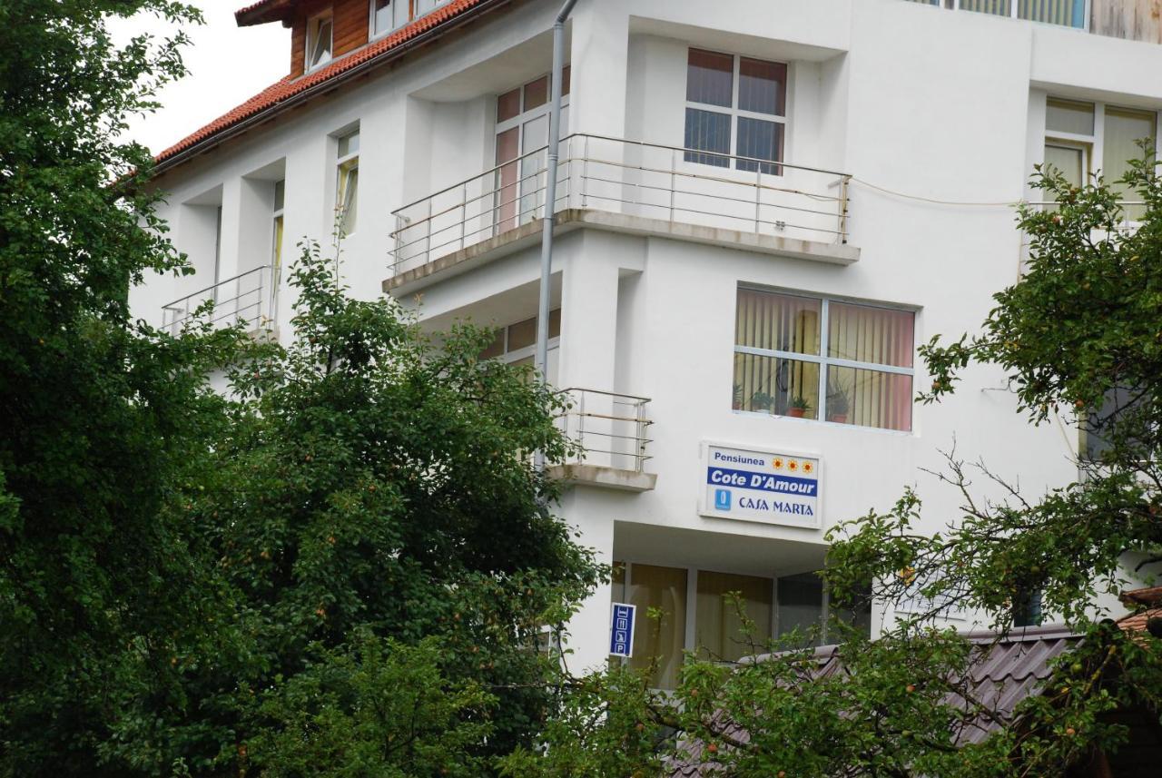 Pension Cote D'Amour Moieciu de Jos Dış mekan fotoğraf